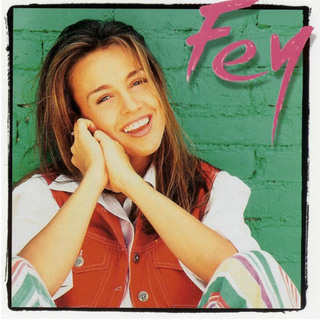 Click image for larger version

Name:	fey1995feyfrontallw2.jpg
Views:	382
Size:	75.3 KB
ID:	246699