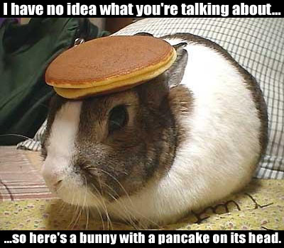 Click image for larger version

Name:	bunny.jpg
Views:	217
Size:	58.8 KB
ID:	247239