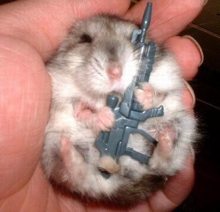 Click image for larger version

Name:	hamster_with_gun.JPG
Views:	282
Size:	86.1 KB
ID:	247499