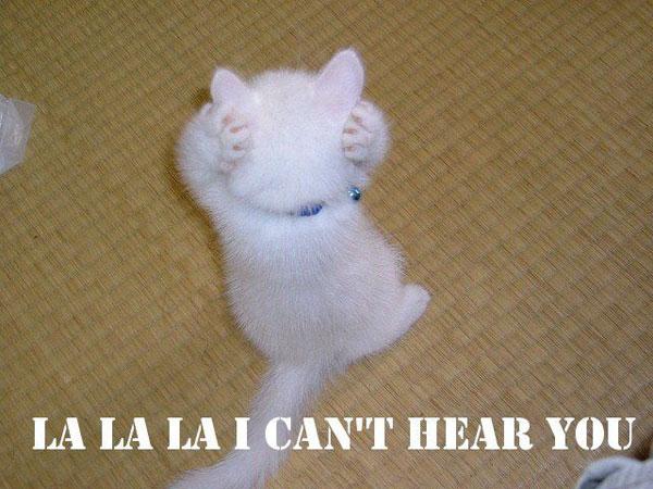 Click image for larger version

Name:	lala_cant_hear_you_cat.jpg
Views:	279
Size:	50.1 KB
ID:	247532