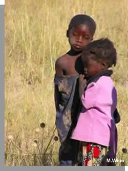 Click image for larger version

Name:	r_namibian.jpg
Views:	315
Size:	14.2 KB
ID:	247758