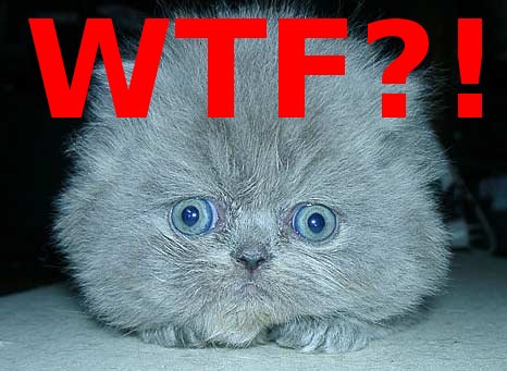 Click image for larger version

Name:	wtf.jpg
Views:	293
Size:	37.6 KB
ID:	247863