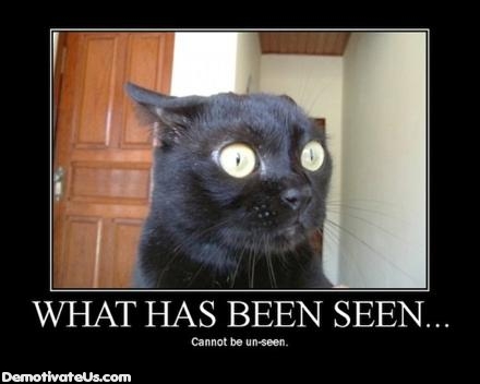 Click image for larger version

Name:	cat-kitty-seen-demotivational-posters.jpg
Views:	758
Size:	54.6 KB
ID:	248046