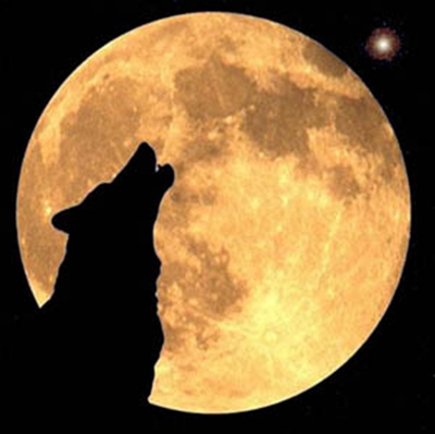 Click image for larger version

Name:	lobo.jpg
Views:	209
Size:	74.0 KB
ID:	248210