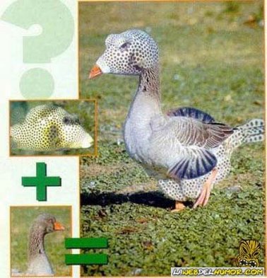 Click image for larger version

Name:	mezclas2-custom;size_378,394.jpg
Views:	989
Size:	42.9 KB
ID:	248527