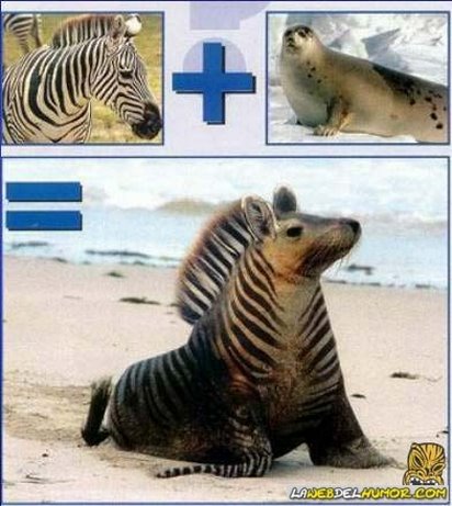 Click image for larger version

Name:	mezclas4-custom;size_413,461.jpg
Views:	1025
Size:	46.2 KB
ID:	248529