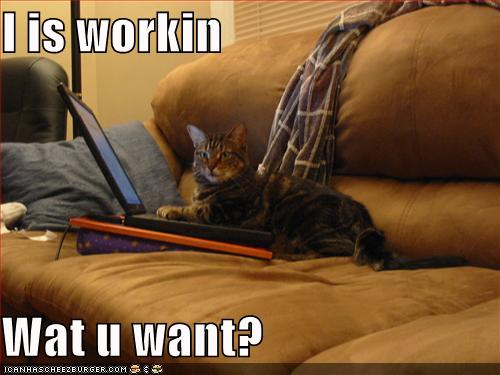 Click image for larger version

Name:	i-is-workin-wat-u-want.jpg
Views:	832
Size:	31.6 KB
ID:	248537
