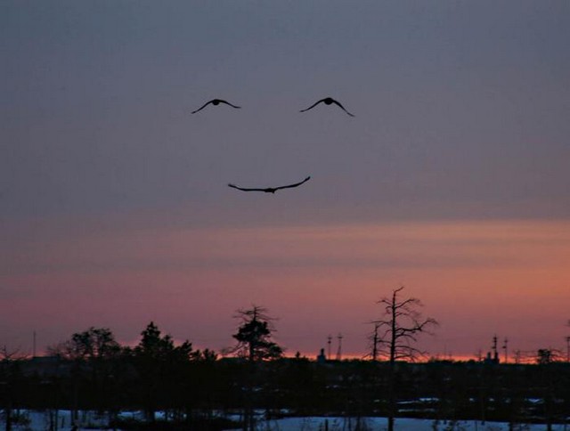 Click image for larger version

Name:	sonrisa.jpg
Views:	170
Size:	31.7 KB
ID:	248548