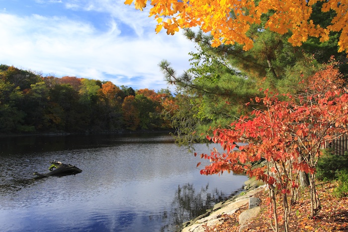 Click image for larger version

Name:	treehuggerphotography2.jpg
Views:	482
Size:	177.5 KB
ID:	248595