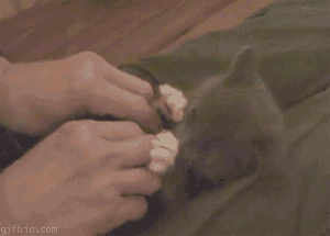 Click image for larger version

Name:	3587uc0.gif
Views:	721
Size:	1.52 MB
ID:	248627