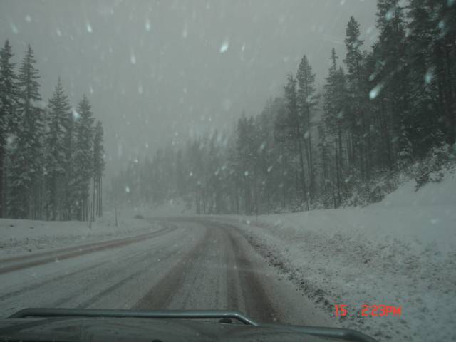 Click image for larger version

Name:	Picture 085.jpg
Views:	222
Size:	24.4 KB
ID:	249177
