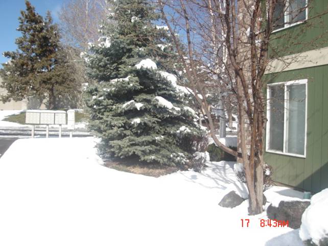Click image for larger version

Name:	Picture 173.jpg
Views:	259
Size:	48.5 KB
ID:	249178