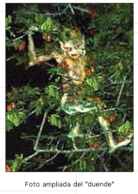 Click image for larger version

Name:	duende 2.jpg
Views:	2041
Size:	40.3 KB
ID:	249432