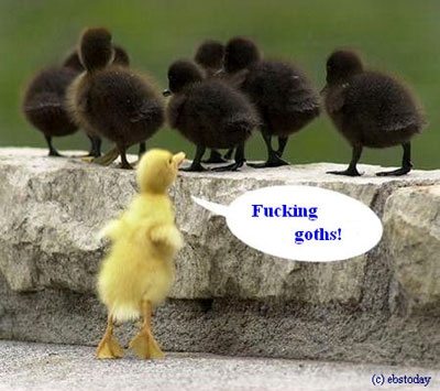 Click image for larger version

Name:	Fucking-Goths_Ducky.jpg
Views:	344
Size:	37.2 KB
ID:	249453