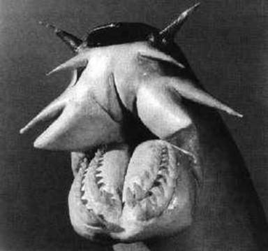 Click image for larger version

Name:	5Hagfish.jpg
Views:	2330
Size:	17.9 KB
ID:	249505