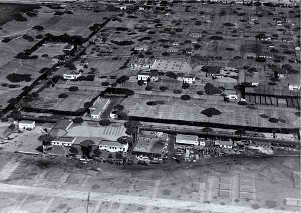 Click image for larger version

Name:	factory after.jpg
Views:	284
Size:	25.2 KB
ID:	249599