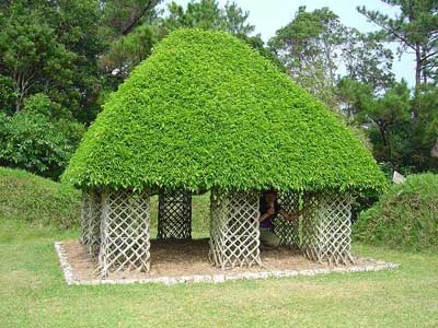 Click image for larger version

Name:	arbol 4.jpg
Views:	315
Size:	32.0 KB
ID:	249607