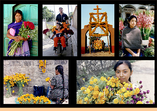 Click image for larger version

Name:	FotosFlores_05.jpg
Views:	237
Size:	89.8 KB
ID:	249623