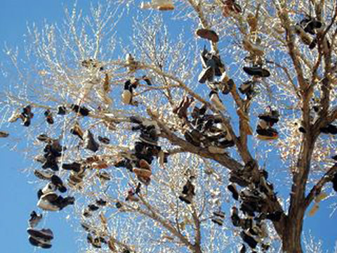 Click image for larger version

Name:	shoe-tree.jpg
Views:	230
Size:	80.7 KB
ID:	249787