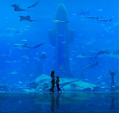 Click image for larger version

Name:	atlantis 2.jpg
Views:	222
Size:	19.2 KB
ID:	249829