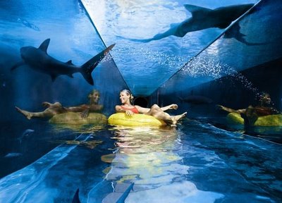 Click image for larger version

Name:	atlantis 3.jpg
Views:	213
Size:	29.4 KB
ID:	249830