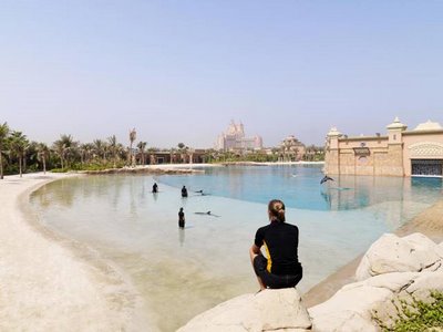 Click image for larger version

Name:	atlantis 4.jpg
Views:	220
Size:	19.6 KB
ID:	249831