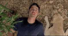 Click image for larger version

Name:	6a00d83451d69069e20133eed0b76e970b-800wi.gif
Views:	300
Size:	1.23 MB
ID:	250528