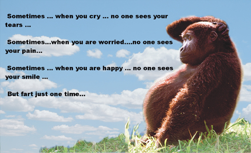 Click image for larger version

Name:	1291.jpg
Views:	227
Size:	147.2 KB
ID:	250529